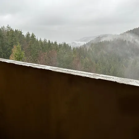 House Jaro & Camp Jaro * Velenje